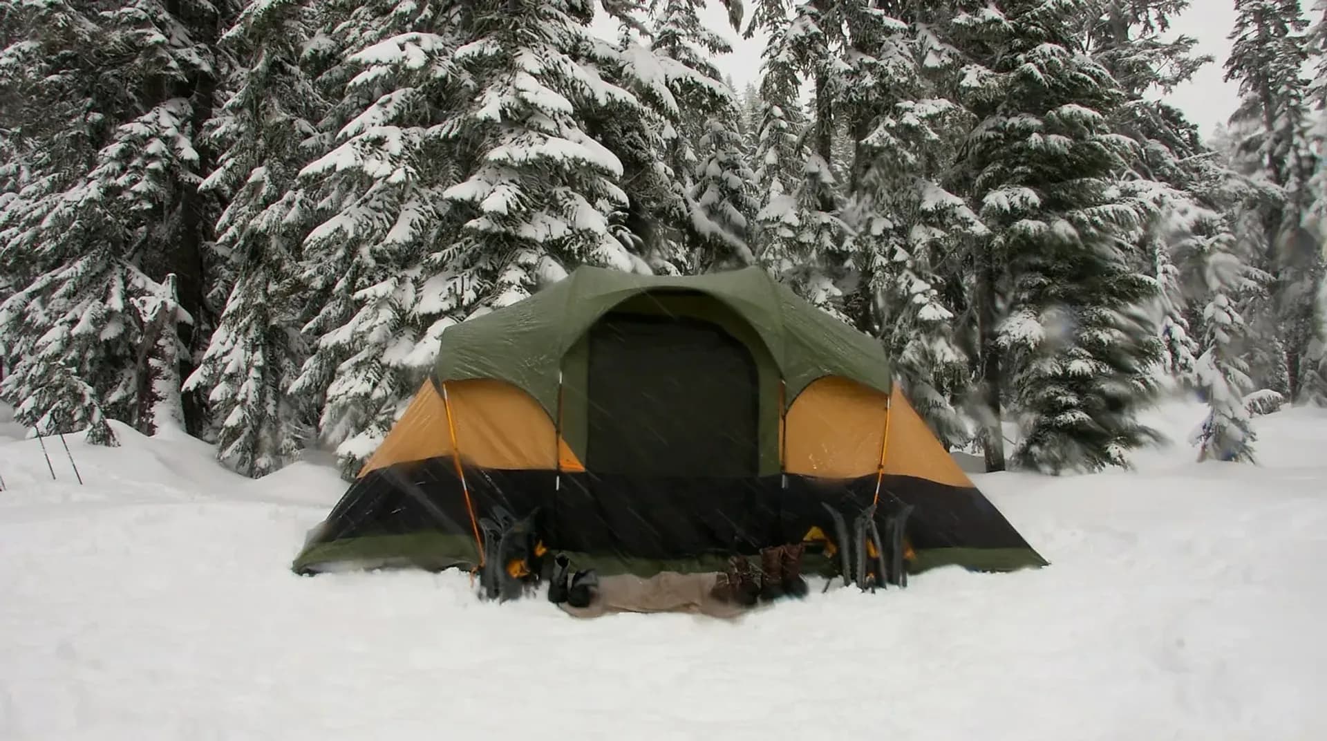 Insulated shelter holding up under heavy snowfall in a forest
